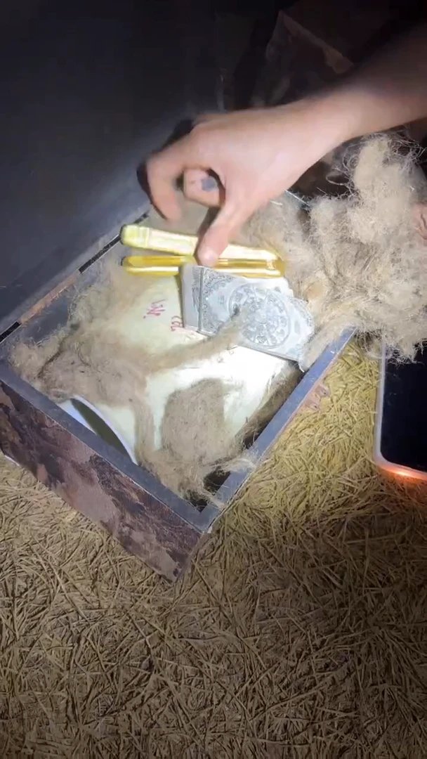 木木木木木木木木木木木木