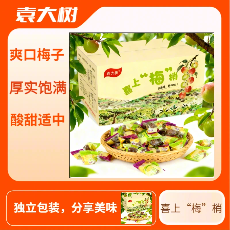 袁大树混合梅子话梅果干蜜饯酸甜可口梅子果脯小零食独立包装