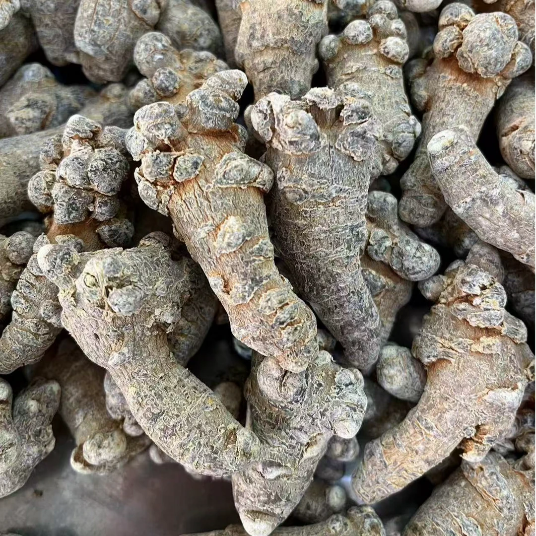 云南文山三七高山下山货三七