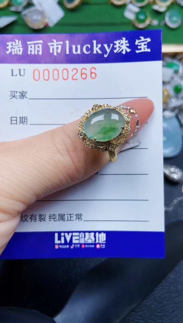 【闪购商品】翡翠颈饰银S925镶嵌0266