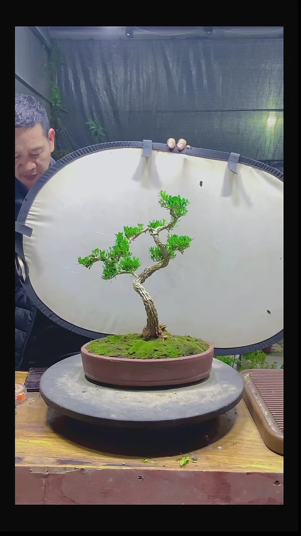 完全开放奥**点11111111111111