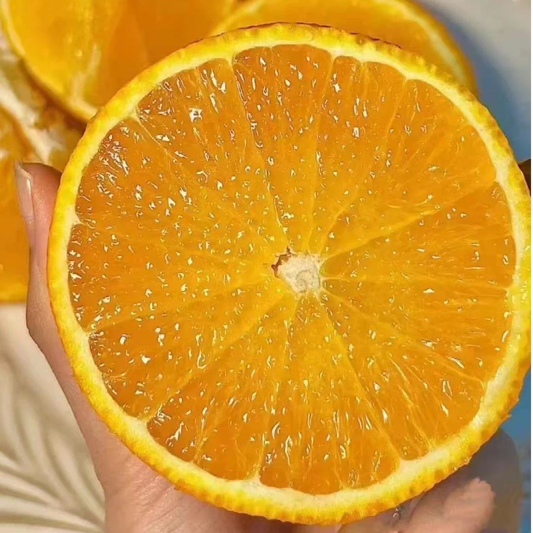 双藕乳峰脐橙当季新鲜水果现摘现发甜润多汁