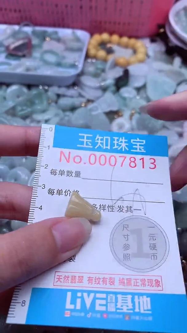 翡翠未镶嵌吊坠(不含链)7813