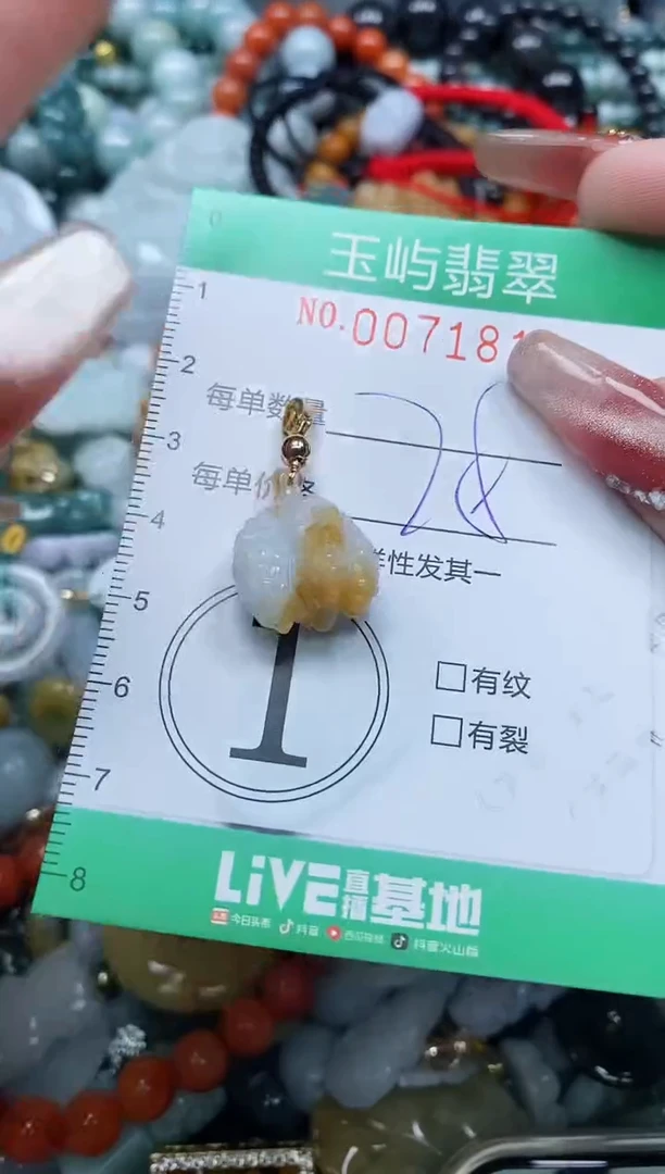 【闪购商品】翡翠颈饰未镶嵌闪购0071810