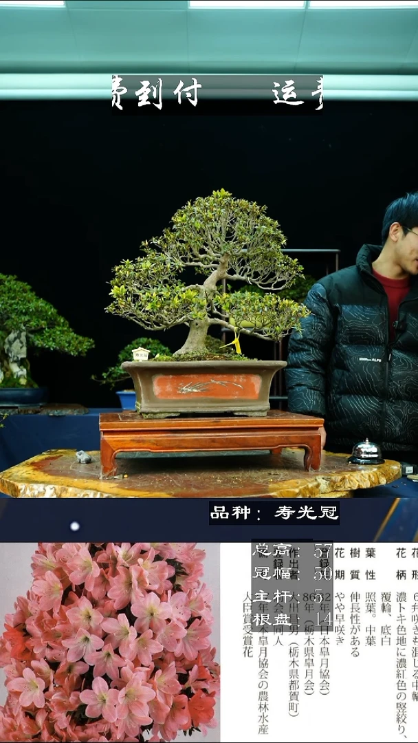 【闪购商品】无R030