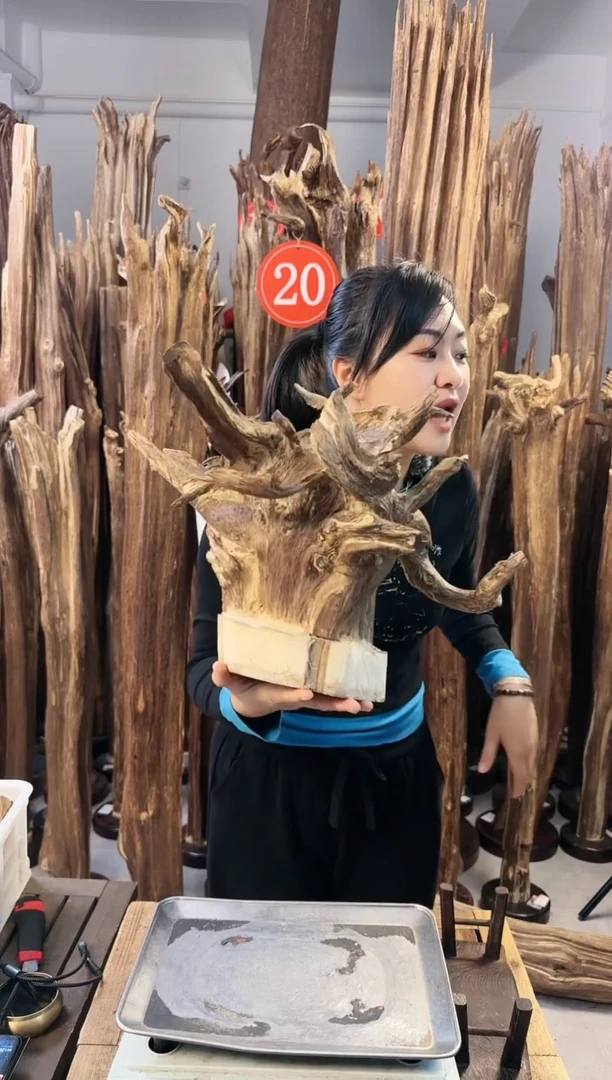 【闪购商品】沉香摆件沉香摆件多样性发一件60