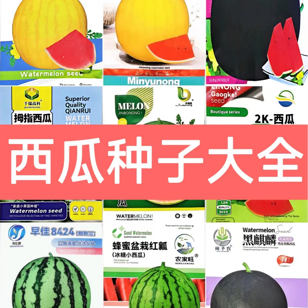 【满5袋包邮】西瓜种子大全