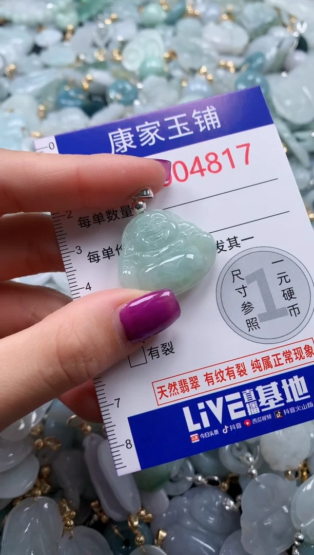 颈饰未镶嵌翡翠4817