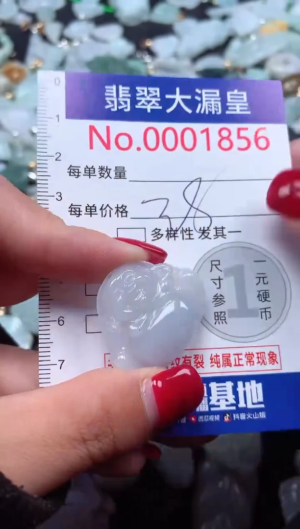 颈饰未镶嵌翡翠1856