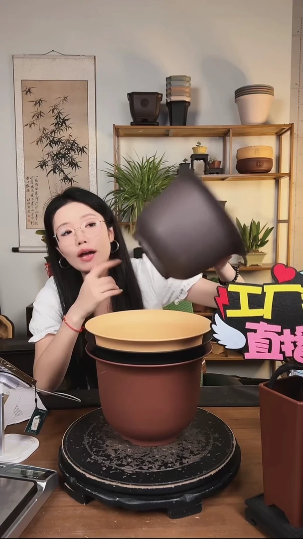 23金钟4只随机颜色