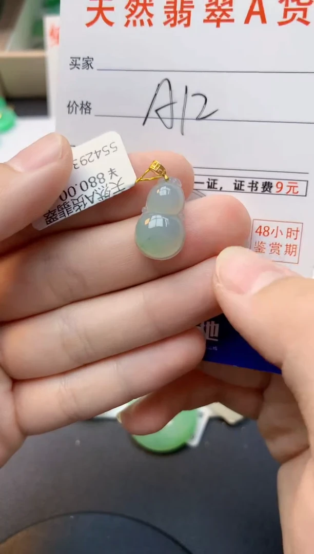 颈饰18K金镶嵌翡翠天然缅甸A货翡翠百元以上9元证书费自理