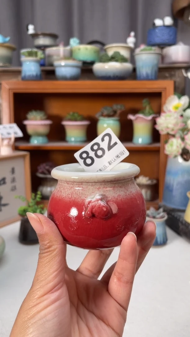 瓷片882知木小芳花盆编号