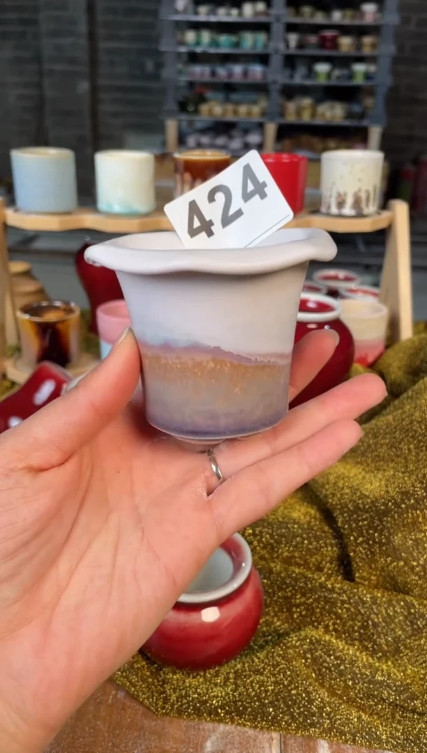 【闪购商品】摆件424小芳直播编号