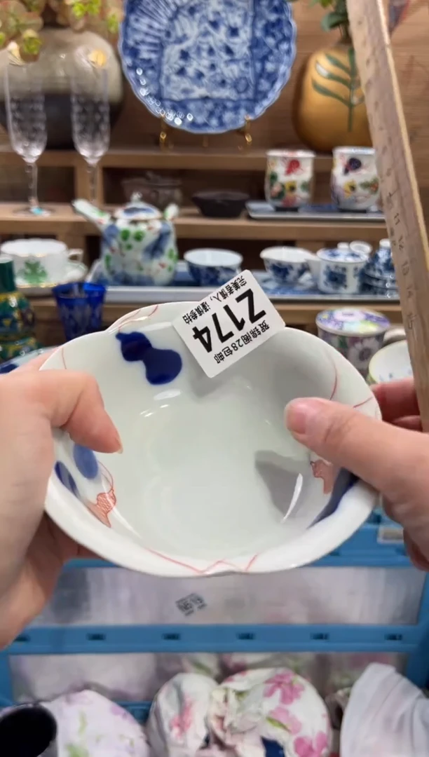 瓷片柳*.       Z174