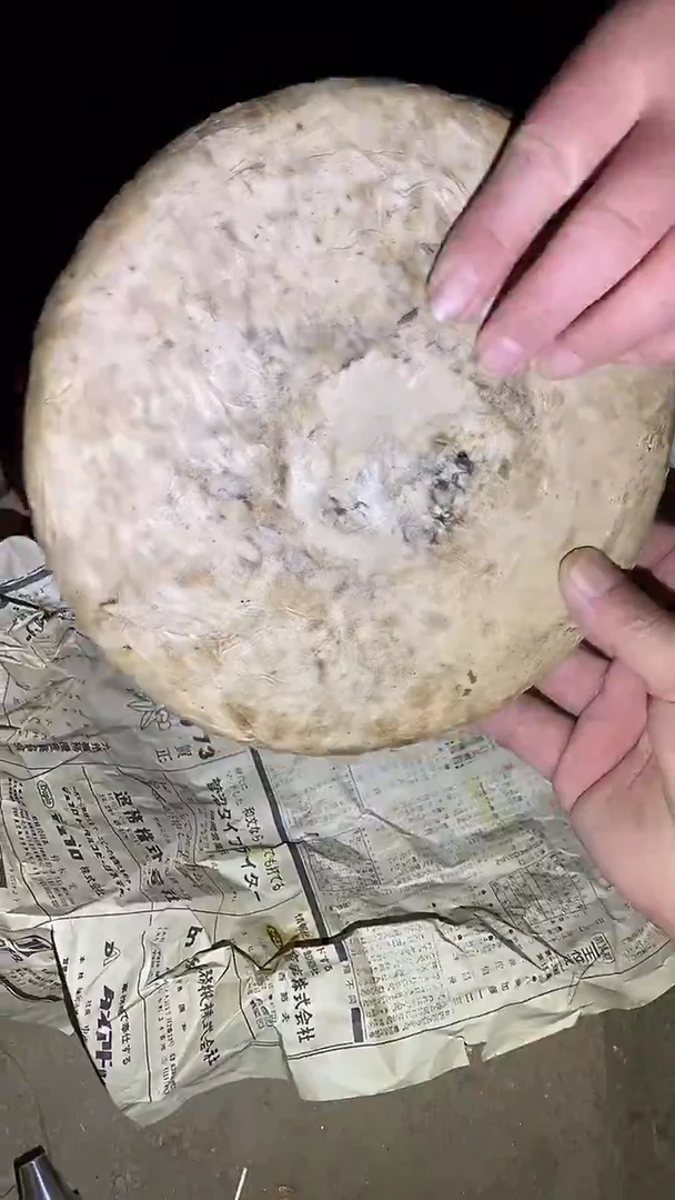 木53啊啊啊啊啊啊啊啊啊啊啊啊