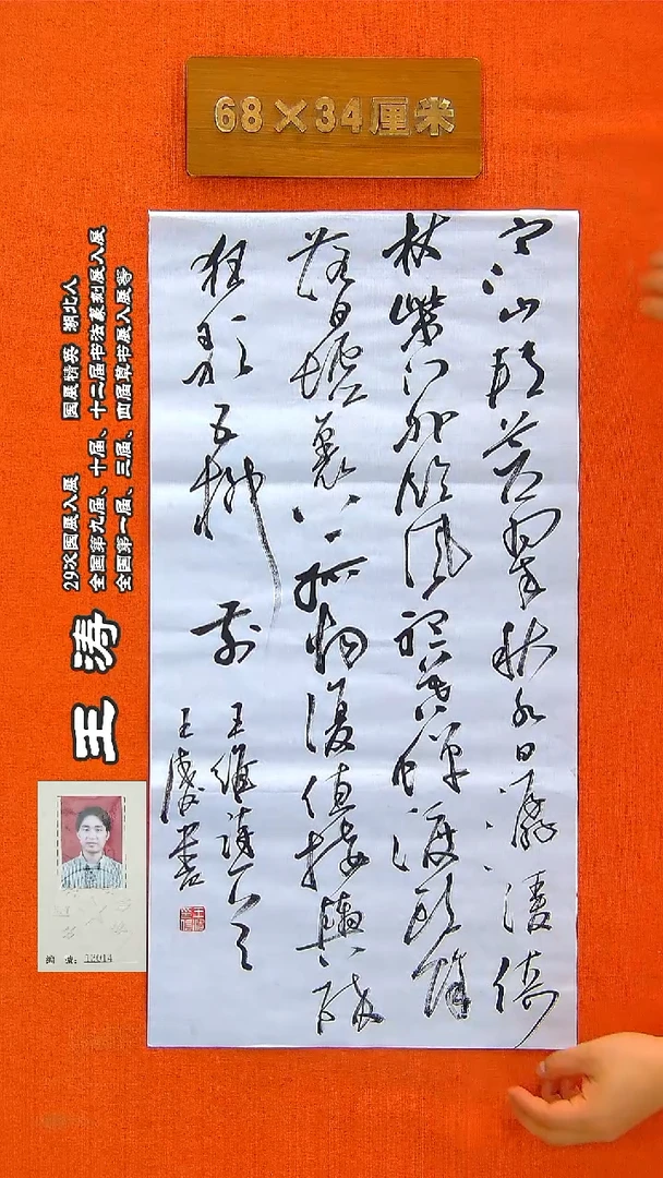 书法86a王涛书法作品