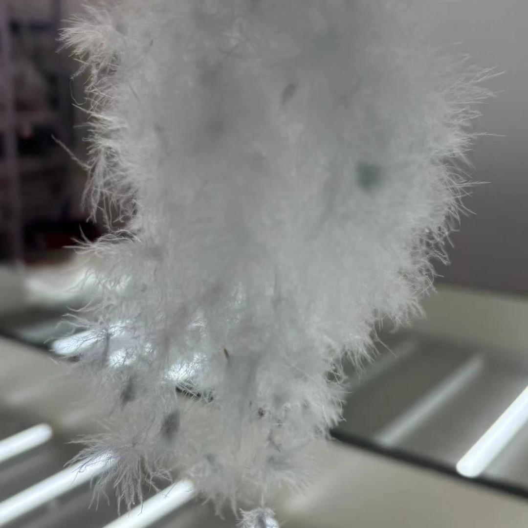 【散装绒】50g  鸭吊绒专属链接 高品质  填充羽绒被，羽绒服可用