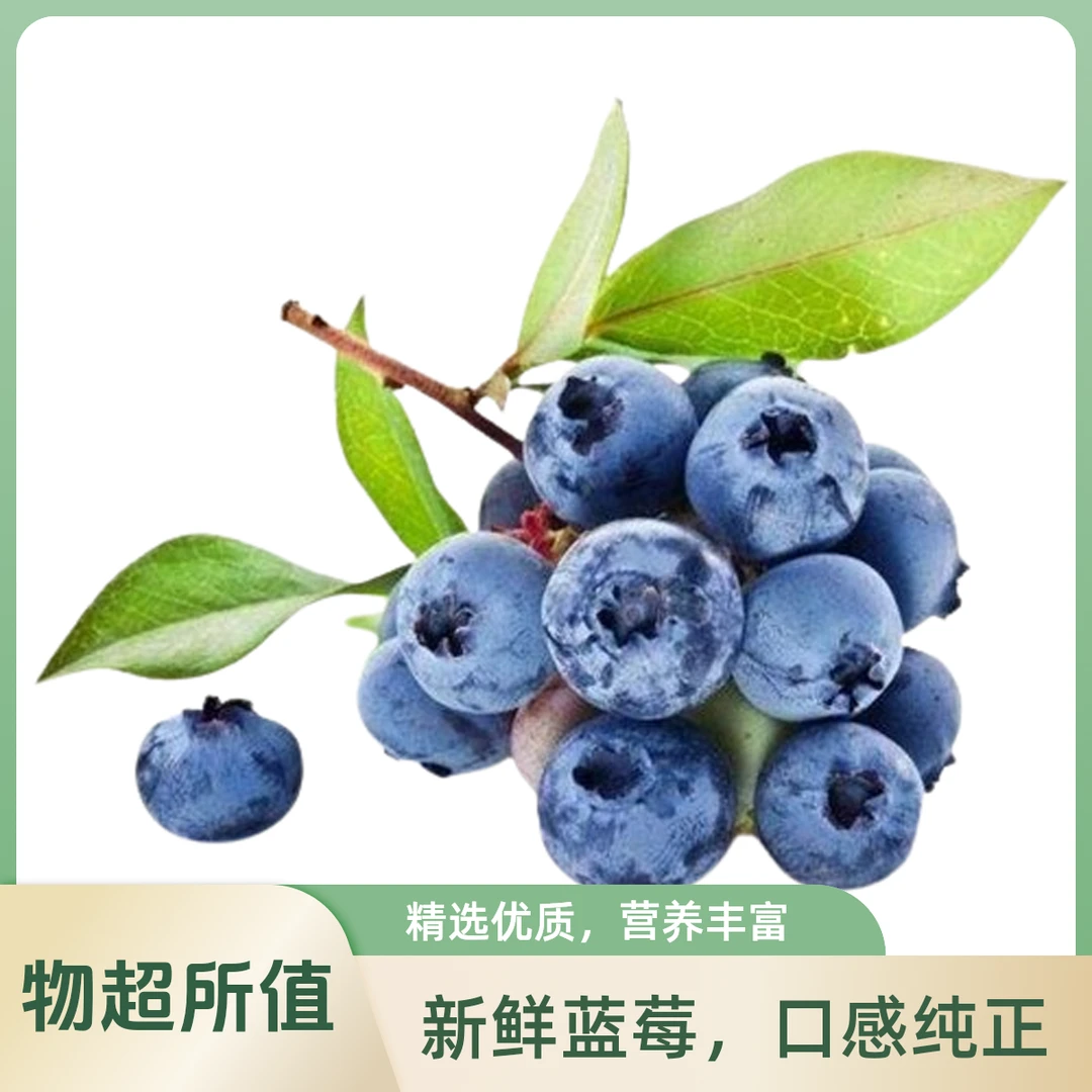 【茂名同城】智利精选蓝莓 （约17mm-21mm）300g起蓝莓 智利共和国广东省茂名市