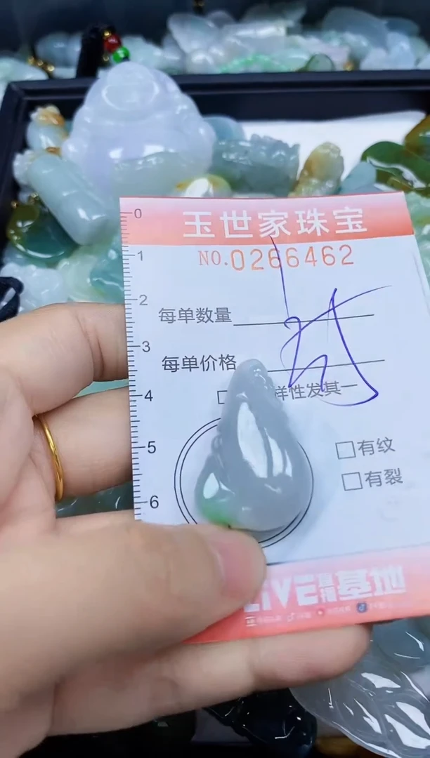 翡翠未镶嵌颈饰闪购0266462