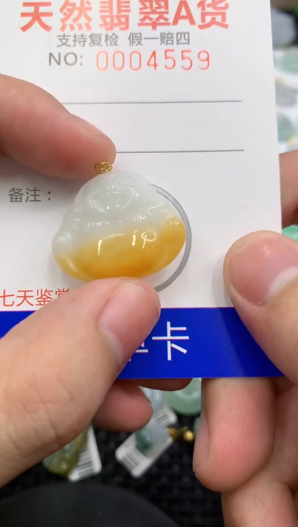 【闪购商品】翡翠颈饰18K金镶嵌111111111111