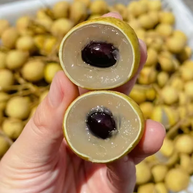 金标龙眼新鲜多汁皮薄肉厚水果礼盒
