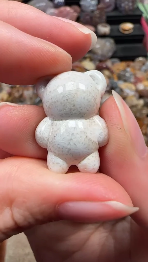 颈饰未镶嵌硅化珊瑚（珊瑚玉）828