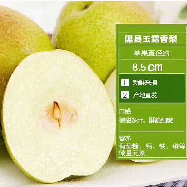 正宗隰县玉露香梨12颗/9颗8斤礼盒装  原产地自建大型恒温库直发