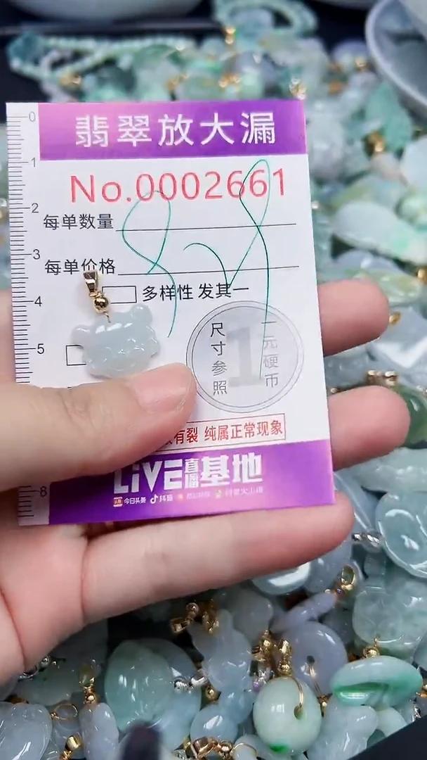 颈饰未镶嵌翡翠2661