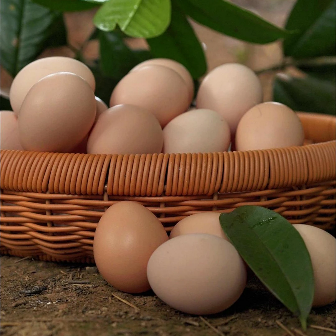 农户农场五谷喂养土鸡蛋散养土鸡蛋笨鸡蛋—新鲜散养土鸡蛋