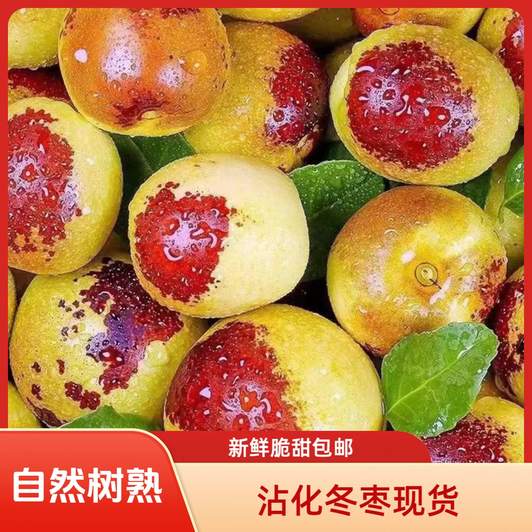 【买三斤送二斤沾化冬枣现货包邮】冰糖冬枣新鲜大枣脆甜枣园直发