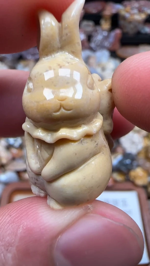 【闪购商品】硅化珊瑚（珊瑚玉）颈饰未镶嵌169