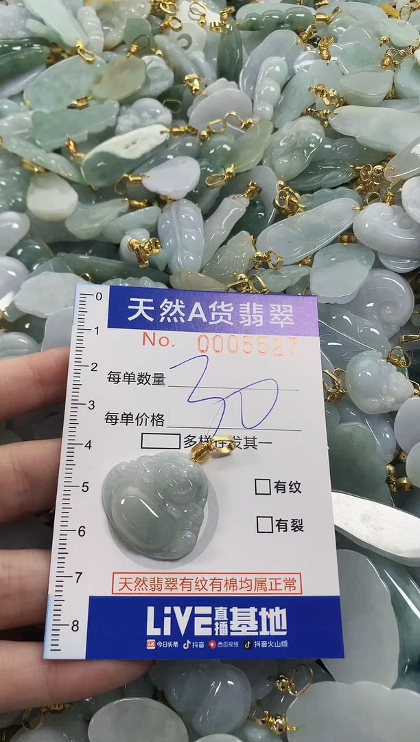 颈饰未镶嵌翡翠天然a货翡翠