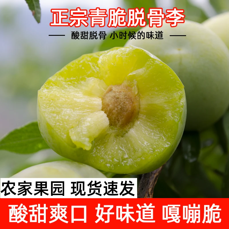 【青脆李】精选青脆李冰脆脱骨李子酸脆爽口新鲜孕妇水果包邮