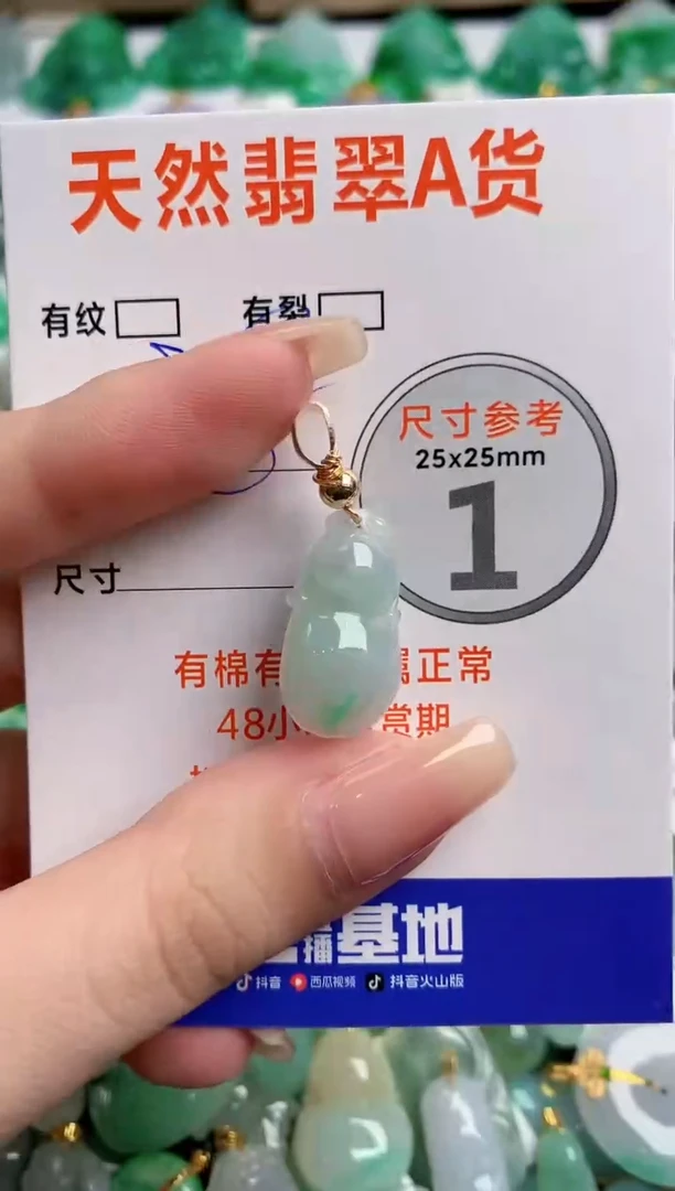 翡翠18K金镶嵌颈饰24000340
