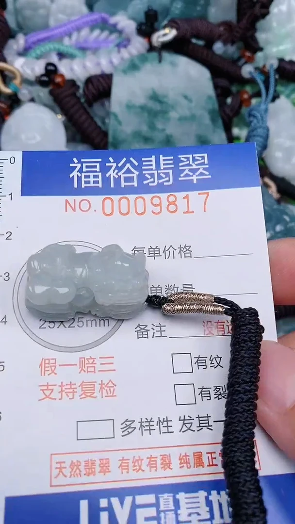 翡翠未镶嵌颈饰...0009817
