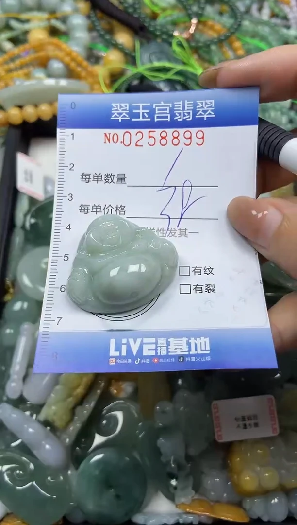 颈饰未镶嵌翡翠闪购C0258899