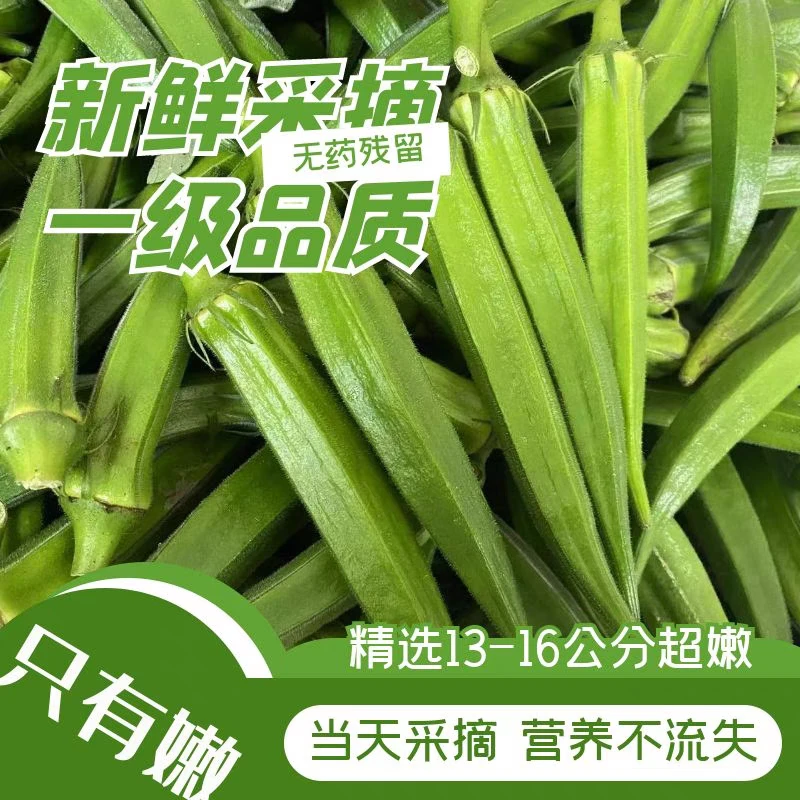 农家秋葵新鲜水果秋葵【发京东冷链】可刺身吃法