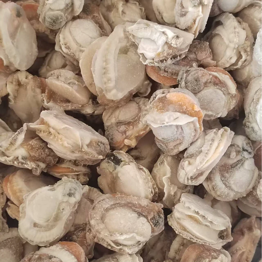 大春港湾扇贝肉口感鲜嫩有黄无沙贝类小海鲜