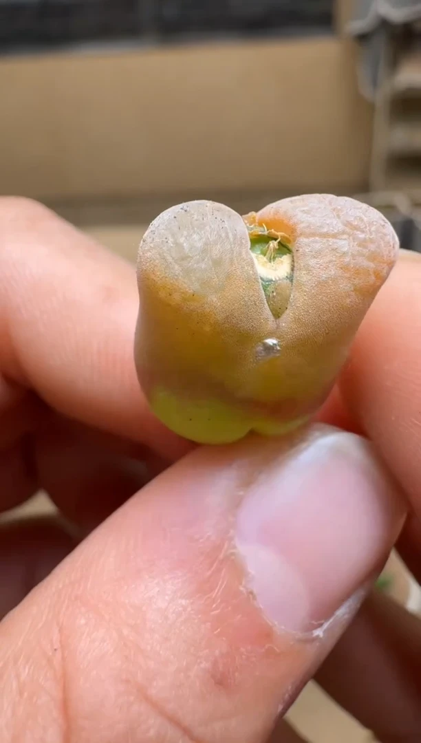 【闪购商品】1/21-400