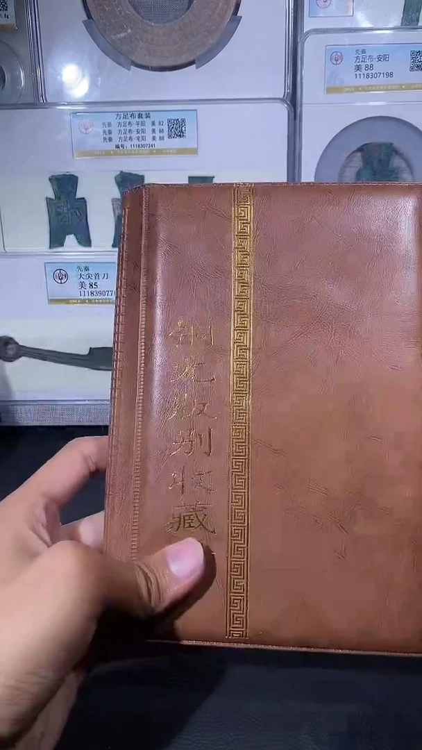 【闪购商品】铜琪珍铜元版别册