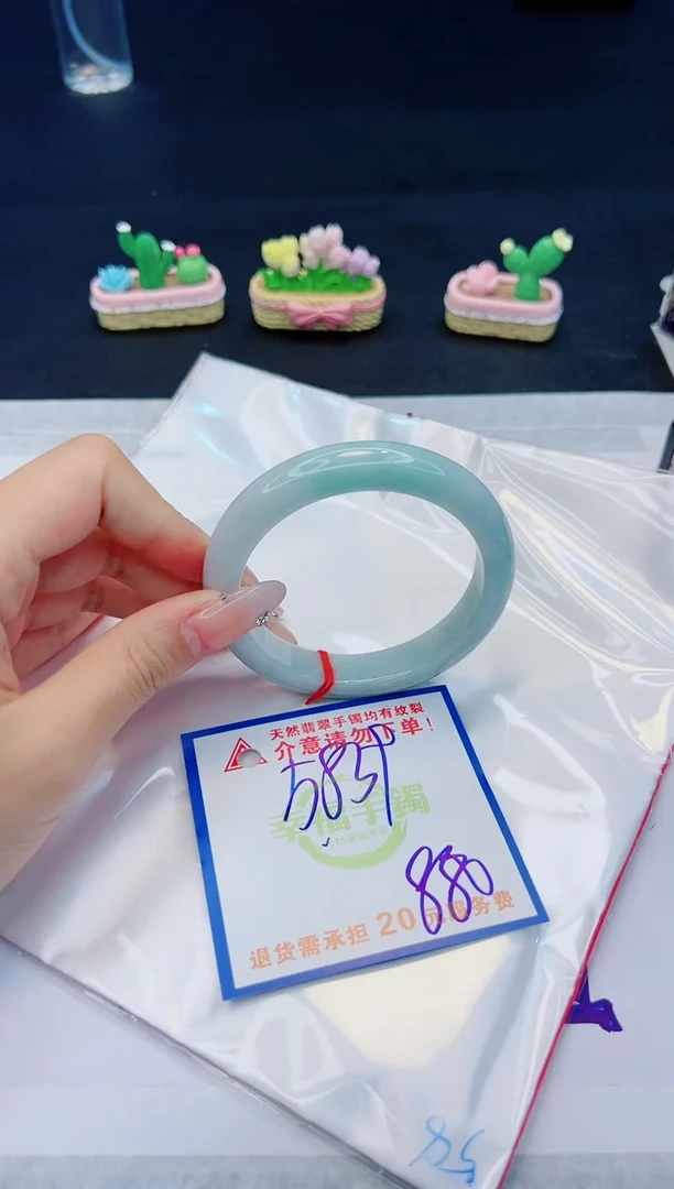 【闪购商品】翡翠手镯未镶嵌，质检证书图片色彩偏黑白