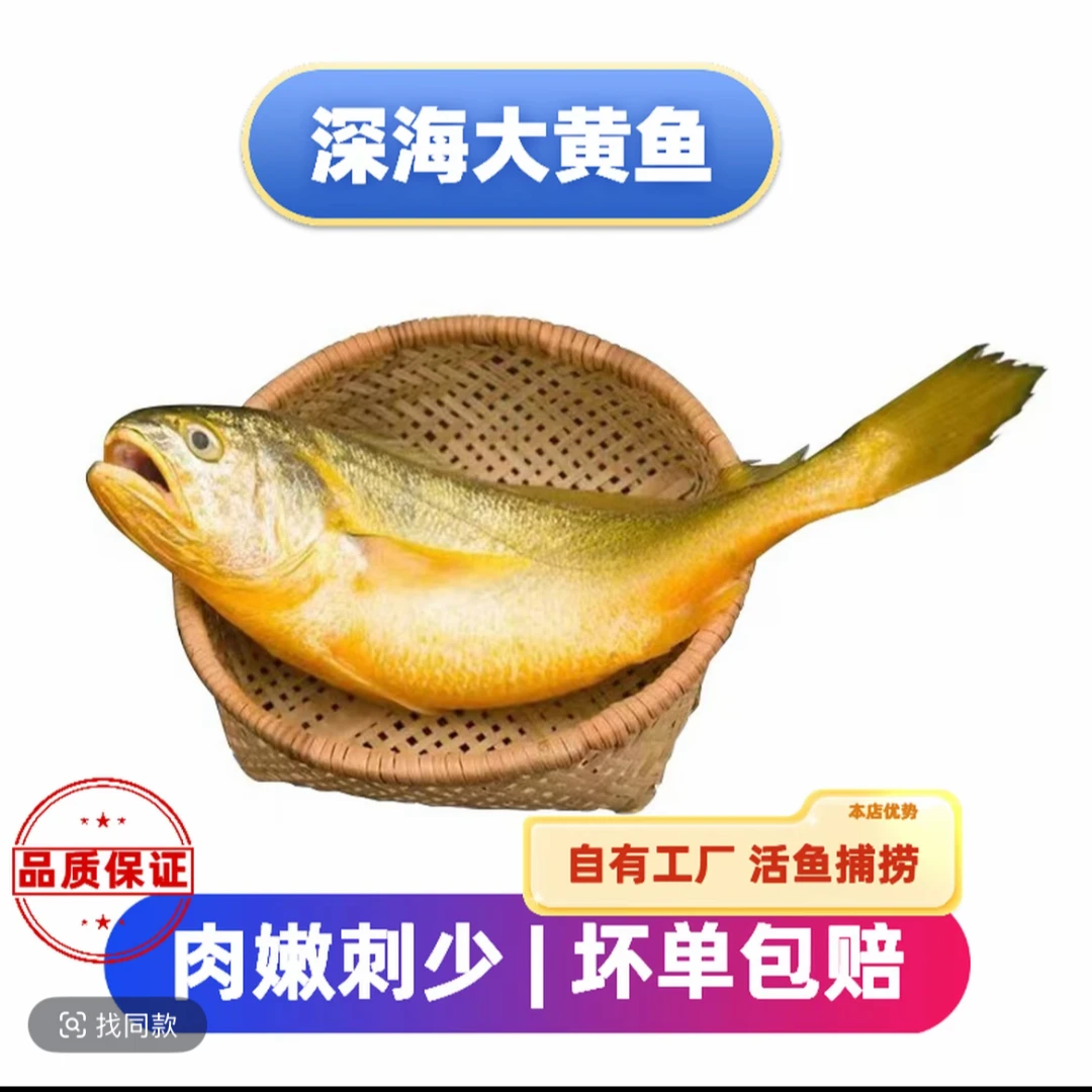 正宗深海大黄鱼6-7两条(6条3.5-4斤) 鲜发(江浙沪皖外冻发)顺丰