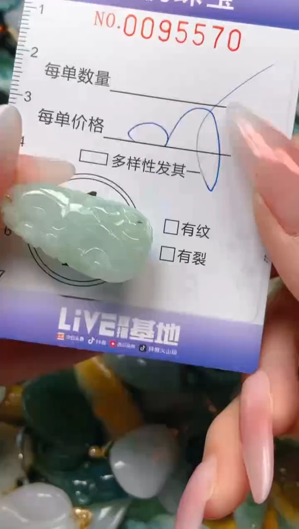 【闪购商品】翡翠颈饰未镶嵌闪购0095570