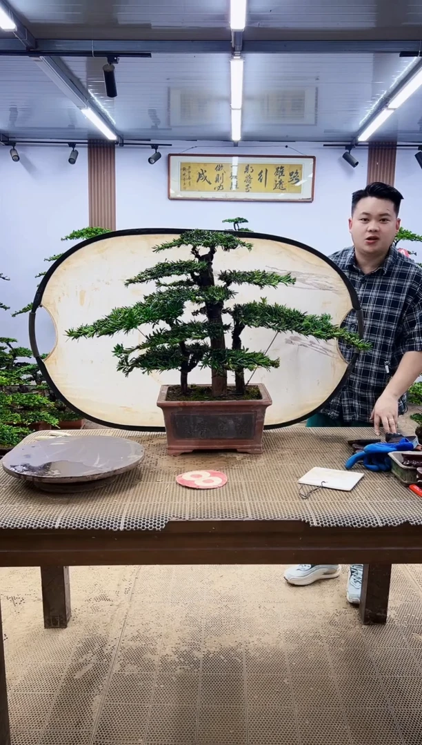 无花朵一物一拍，所见即所得