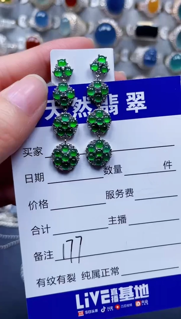 银S925镶嵌翡翠耳饰177