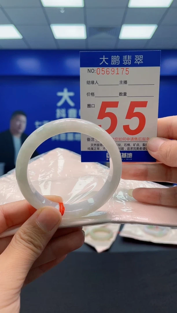 未镶嵌手镯翡翠AAAAAAAAA