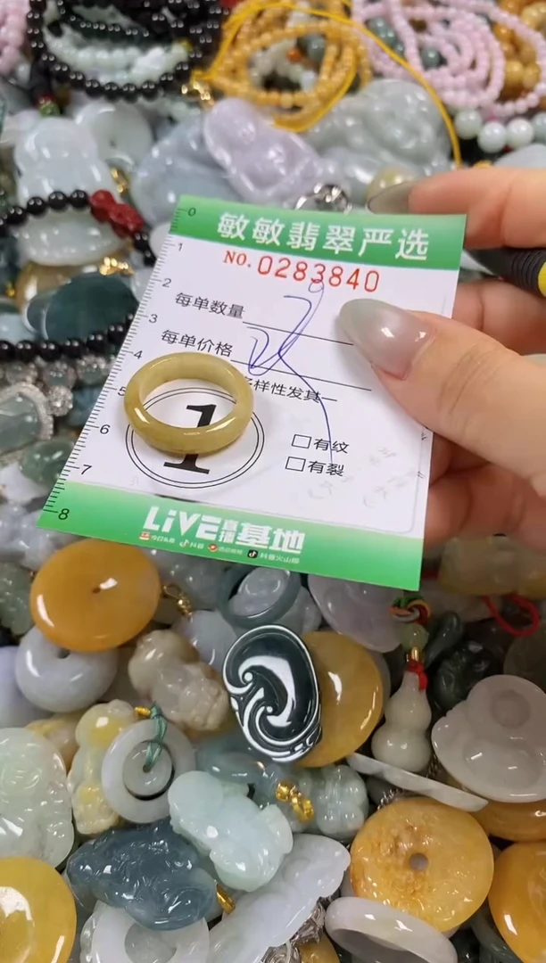 翡翠未镶嵌颈饰闪购0283840
