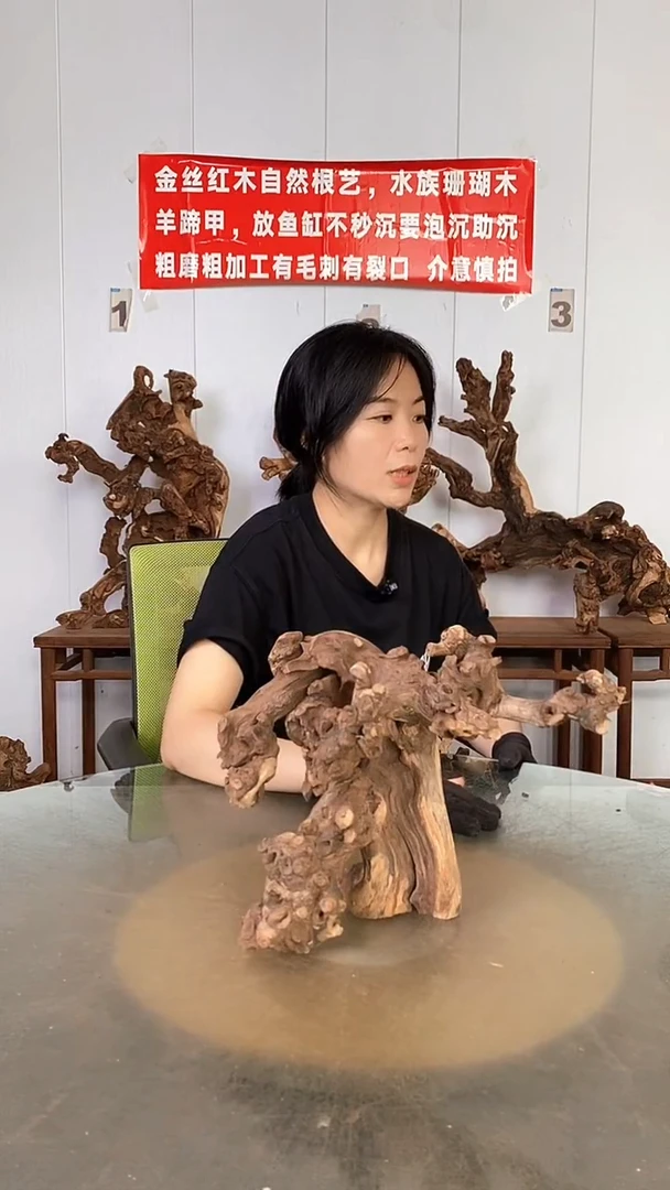 香榧木不****子金丝红木   羊蹄甲