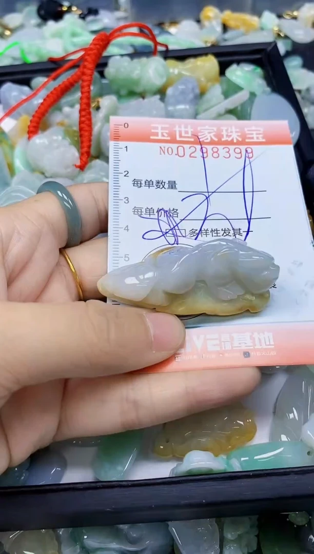 翡翠未镶嵌颈饰闪购0298399