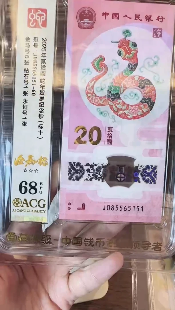 塑料2025蛇钞爱藏标十啊啊啊